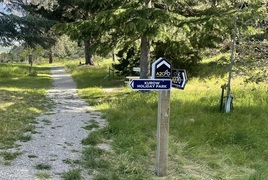 Community spirit on track in Kurow