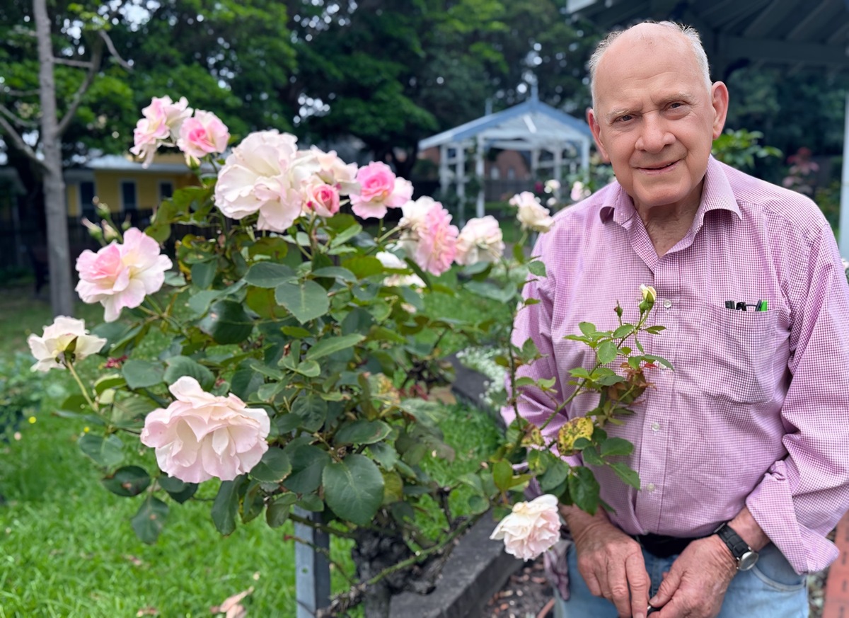Colin Hollis shares his tips for preparing and presenting roses at the Kiama Show