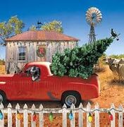 Ivanhoe community Christmas
