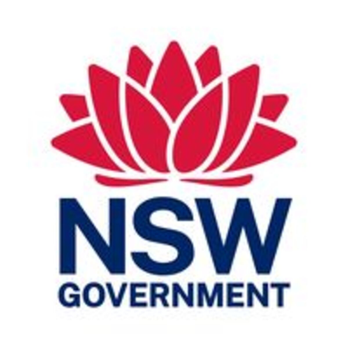 School readiness session