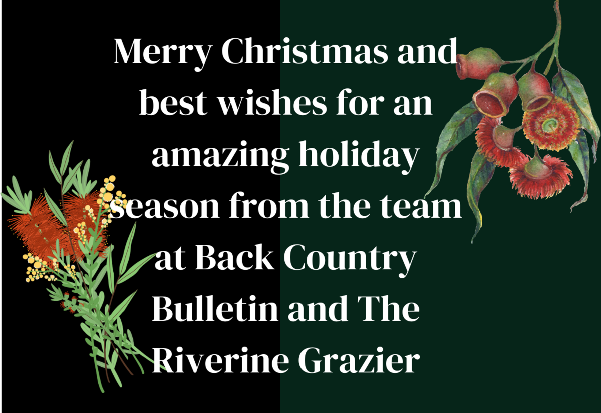 Merry Christmas from Back Country Bulletin