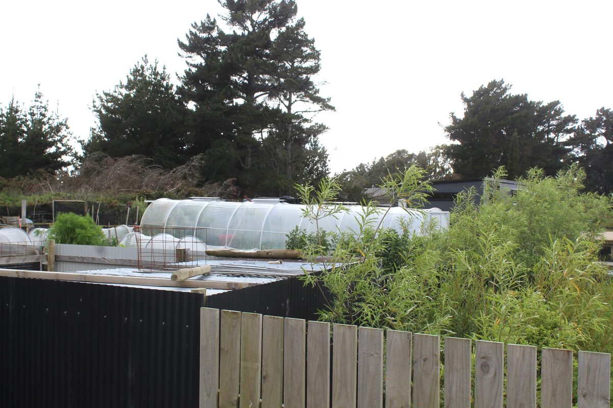 Invercargill reserve land on the chopping block
