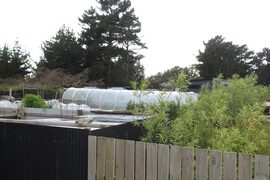 Invercargill reserve land on the chopping block