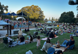 Carols in the Park: Photos
