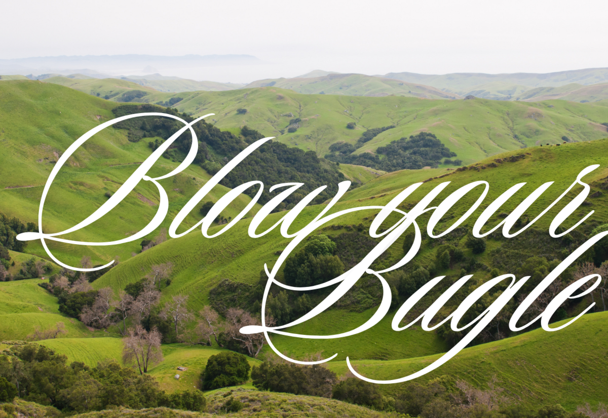 Jamberoo sewer pump system