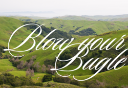 Jamberoo sewer pump system