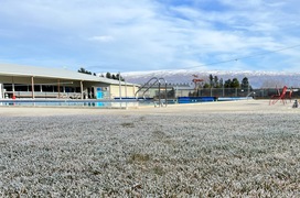 Alex pool closure proposed