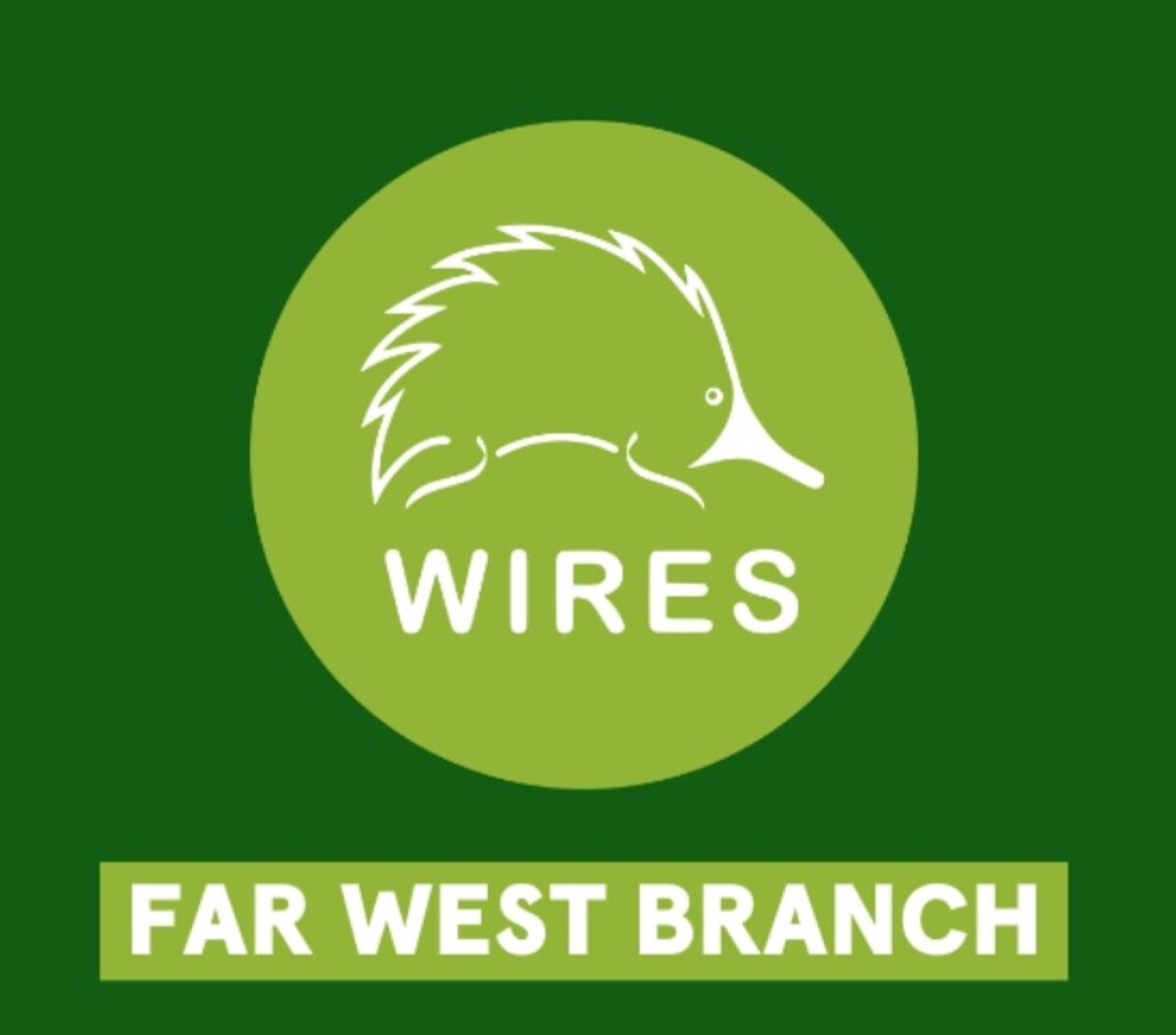 Tips from WIRES to spot heat affected animals