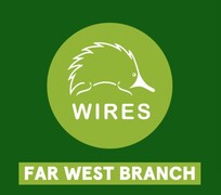 Tips from WIRES to spot heat affected animals