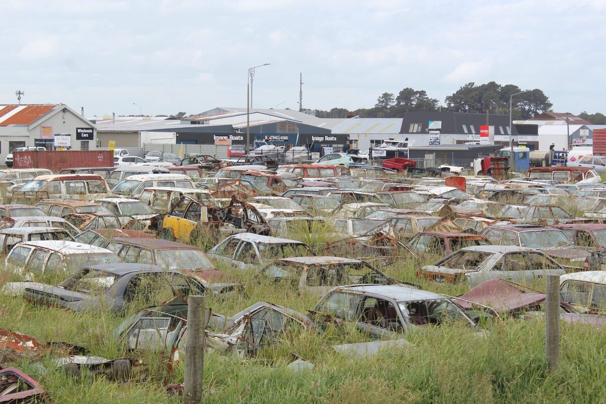 Concern over perishing cars near Invercargill river