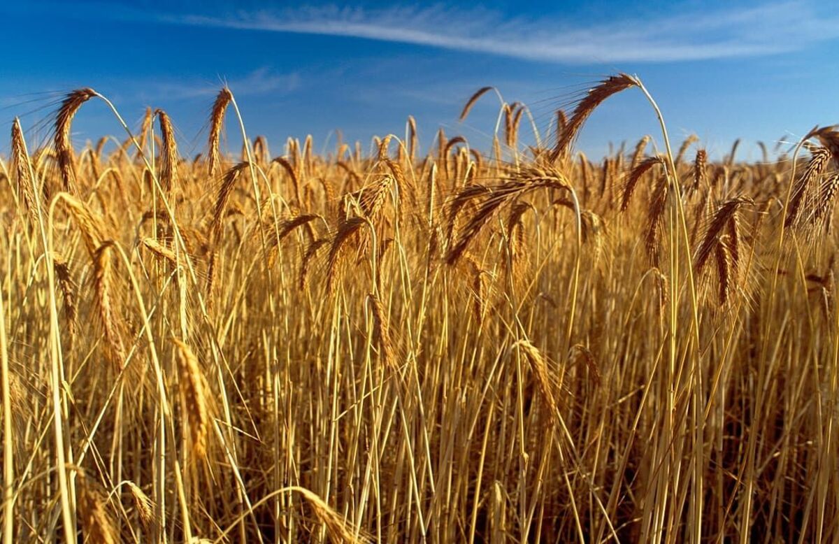 Farmers reminded of new wage laws