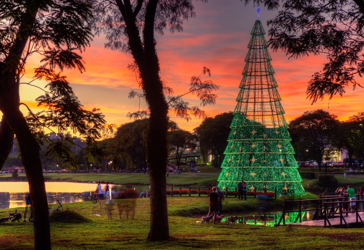 Forgiveness, Shrinking, and the Christmas as a time to reflect