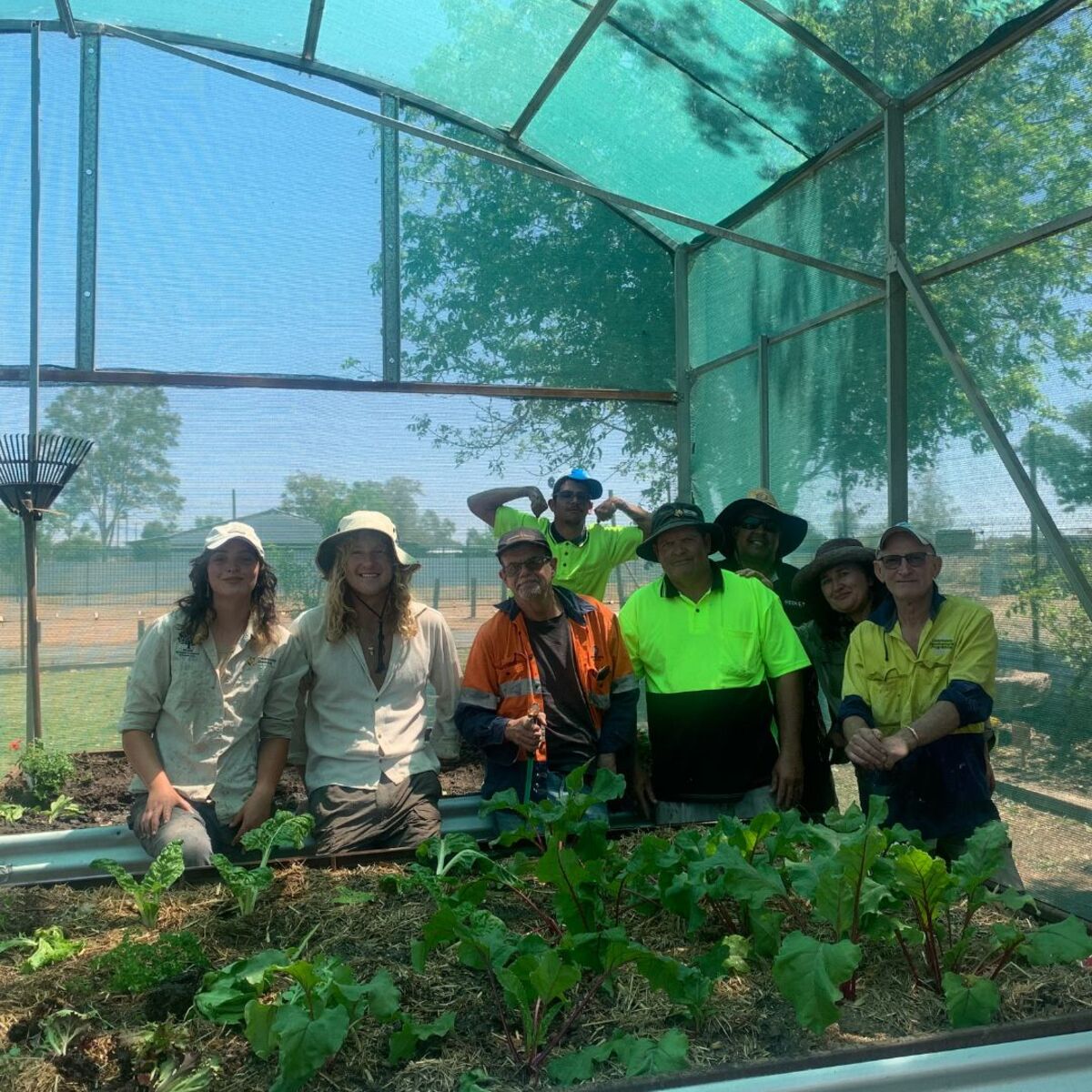 UNSW students complete placements at blossoming Bourke gardens