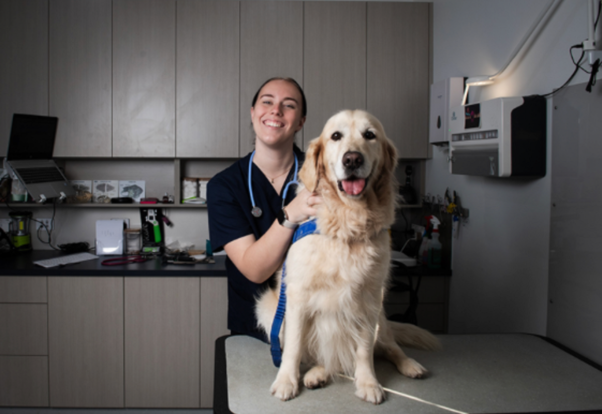 Welcome Experience expands to attract vets to Lismore and Tweed LGAs