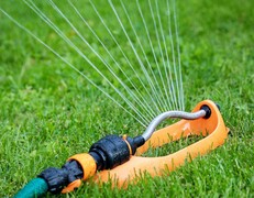Council urges water conservation
