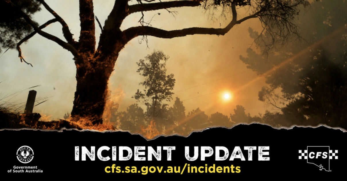 CFS crews work overnight to contain bushfire