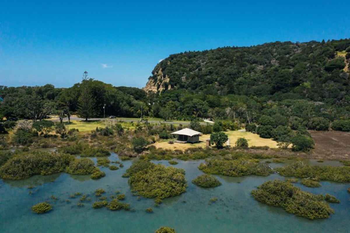 Temporary Closure Hits Wenderholm Regional Park