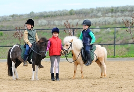 Timely Reminder. Let’s keep kids safe on NSW farms this holiday season