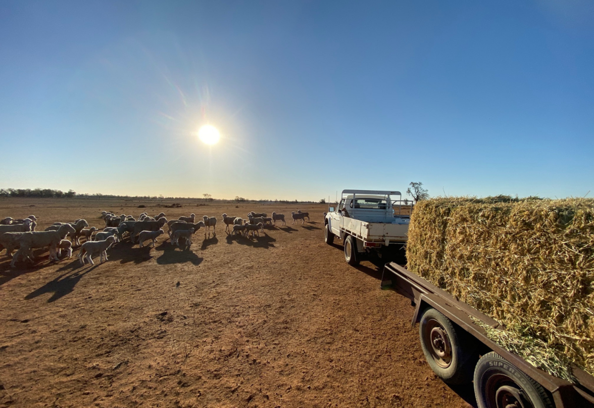 New Drought Plan drops