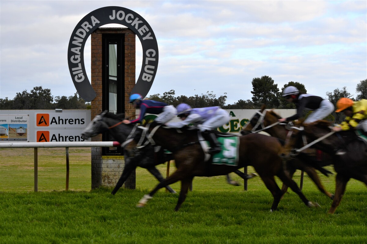 Christmas racing at Gilgandra