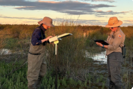 Bird sounds of Narran help with vital research