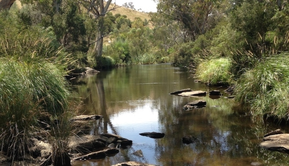 A walk and talk along the Onkaparinga River