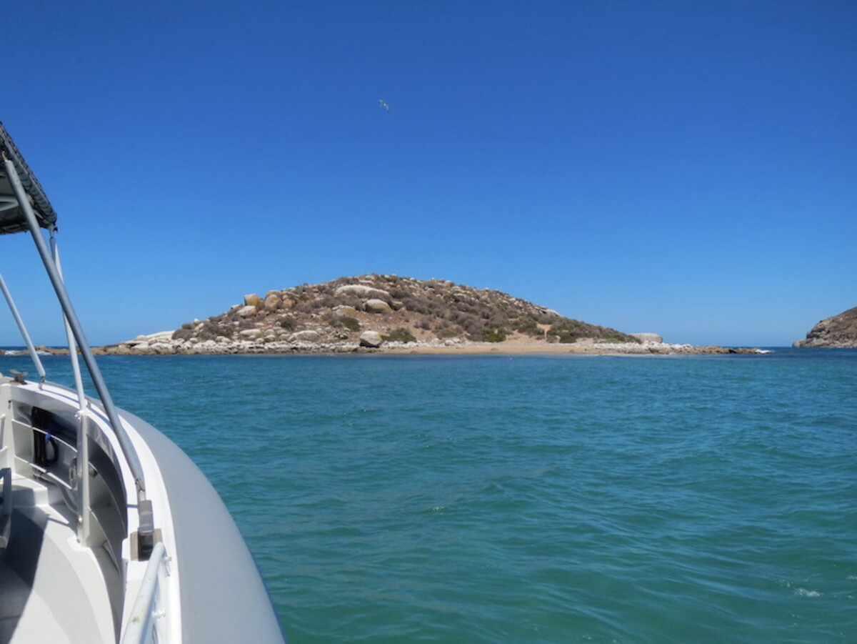 Care for the coastline and marine parks