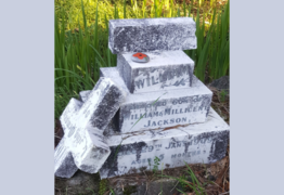 Matakana Cemetery Stories -  William Thomas Albert Jackson – 5 months, gone but not forgotten