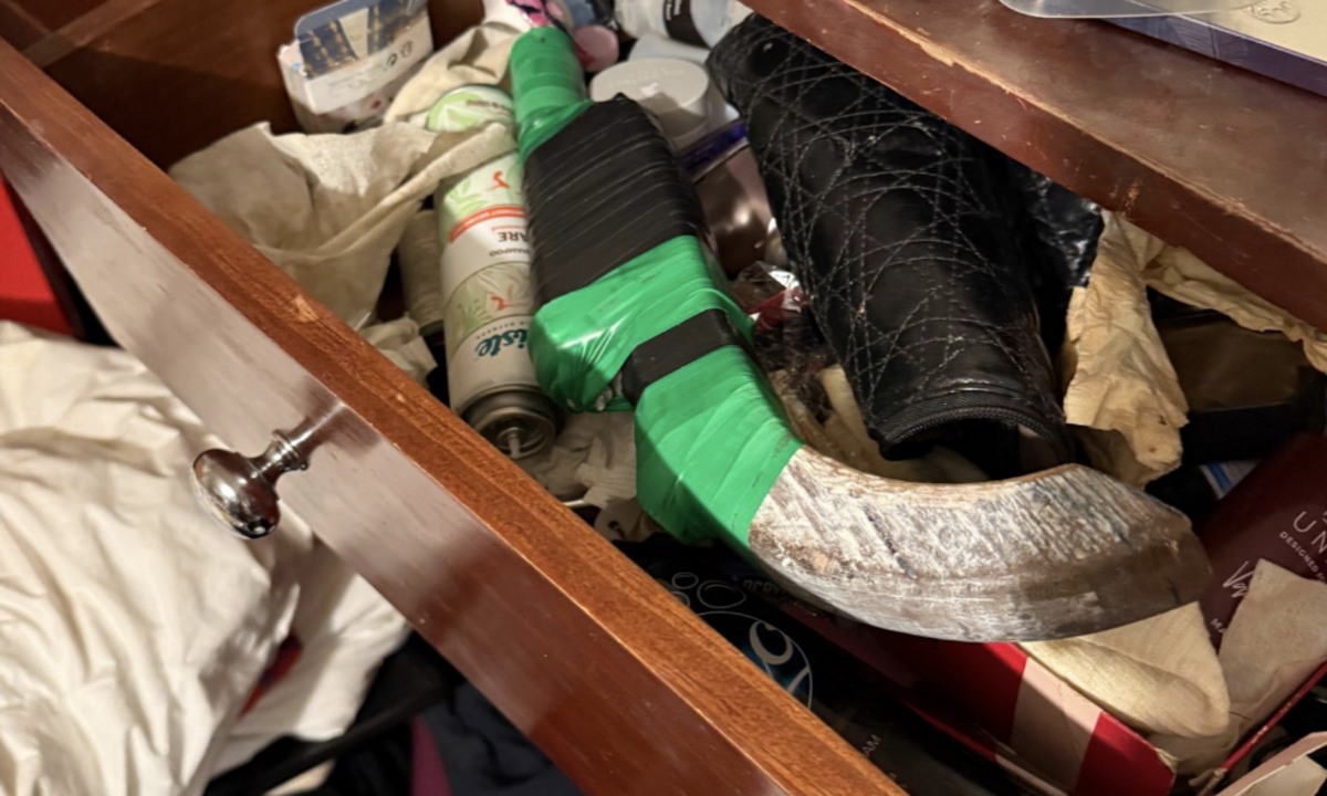 Drugs and FA located in southern suburbs home