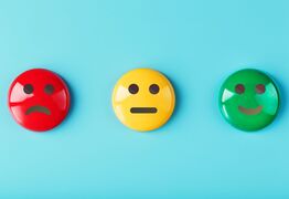 SEEK Survey Reveals Kiwi Workplace Happiness
