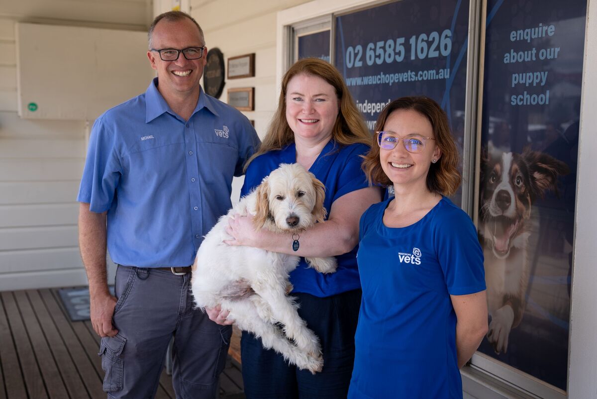 Welcome Experience expands to attract vets to regional NSW 