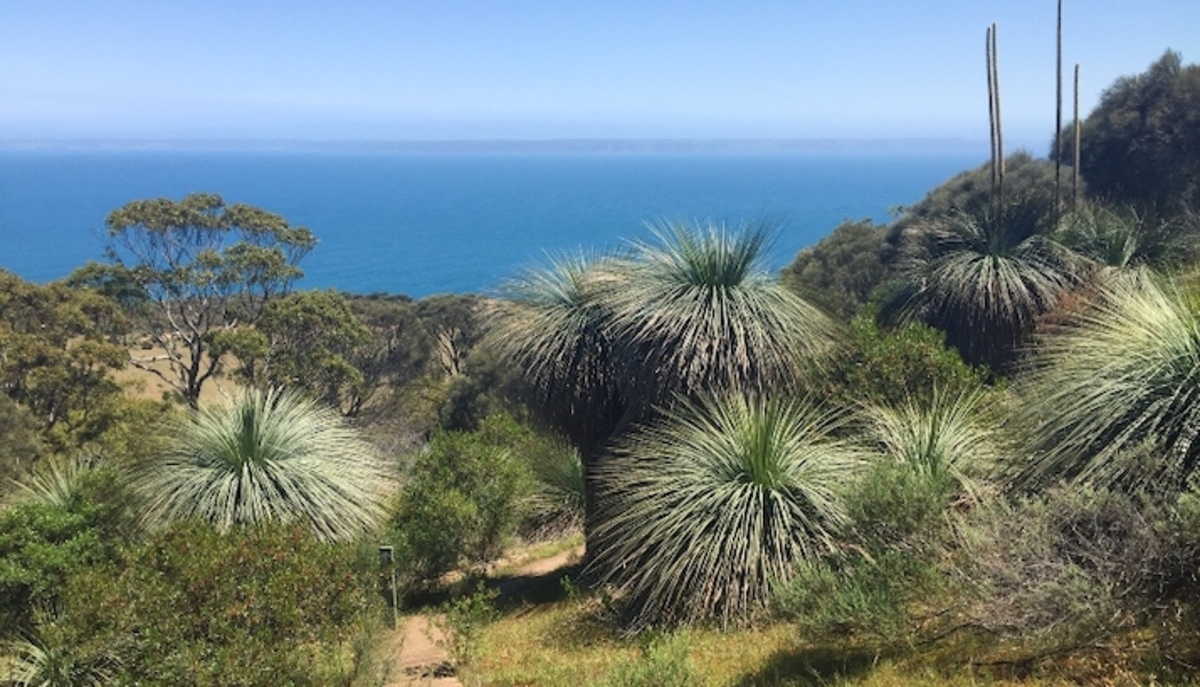Caring for Country in parks and reserves