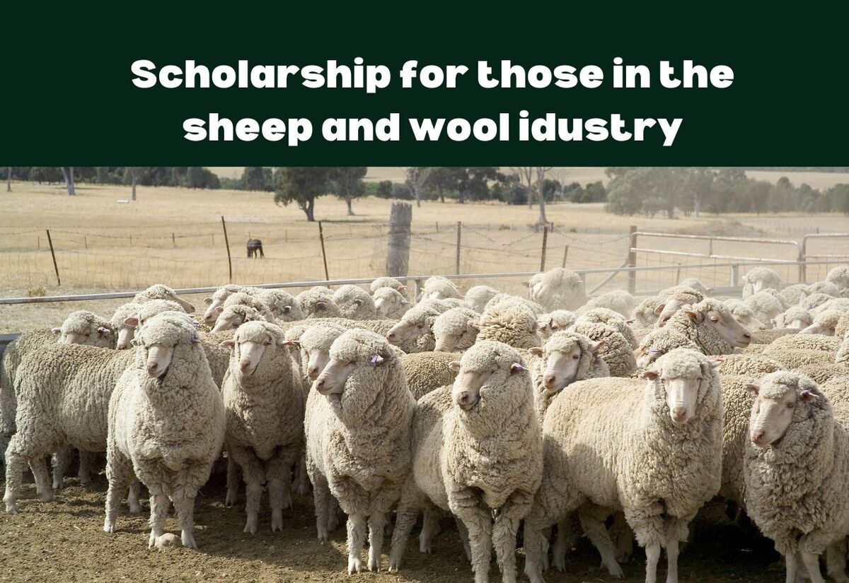 Peter Westblade scholarship applications open soon
