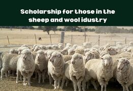 Peter Westblade scholarship applications open soon
