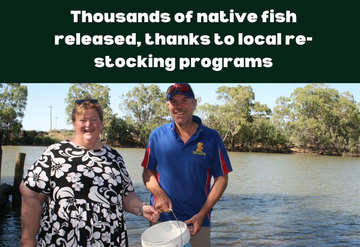 Fresh intake of fingerlings along local river waterways