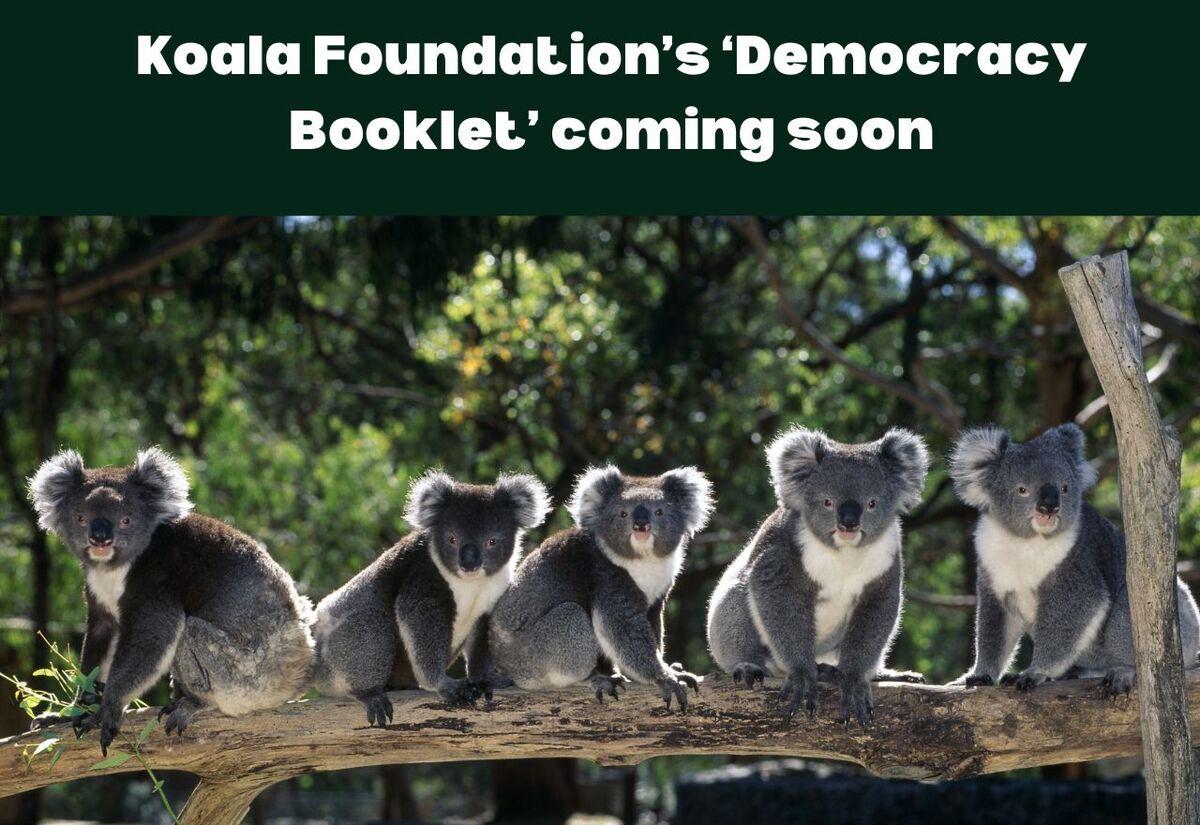 'Democracy Booklet' aims to educate voters, ahead of looming federal election