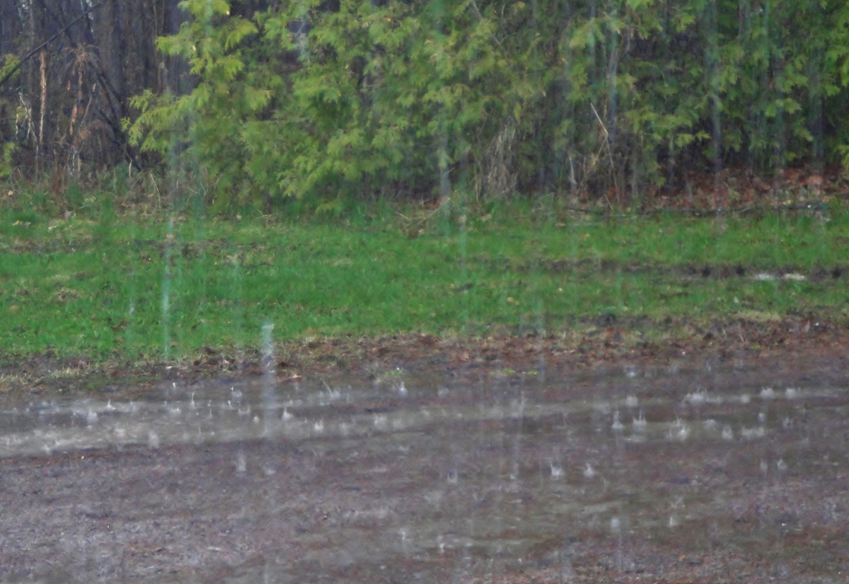 Rain is on the way and the longer forecast reveals nothing extraordinary