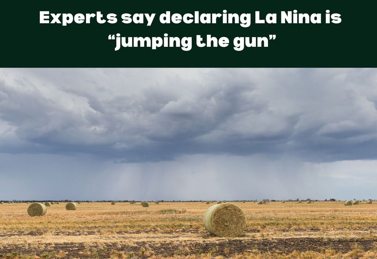 Experts say media reports declaring a La Nina event are “jumping the gun”