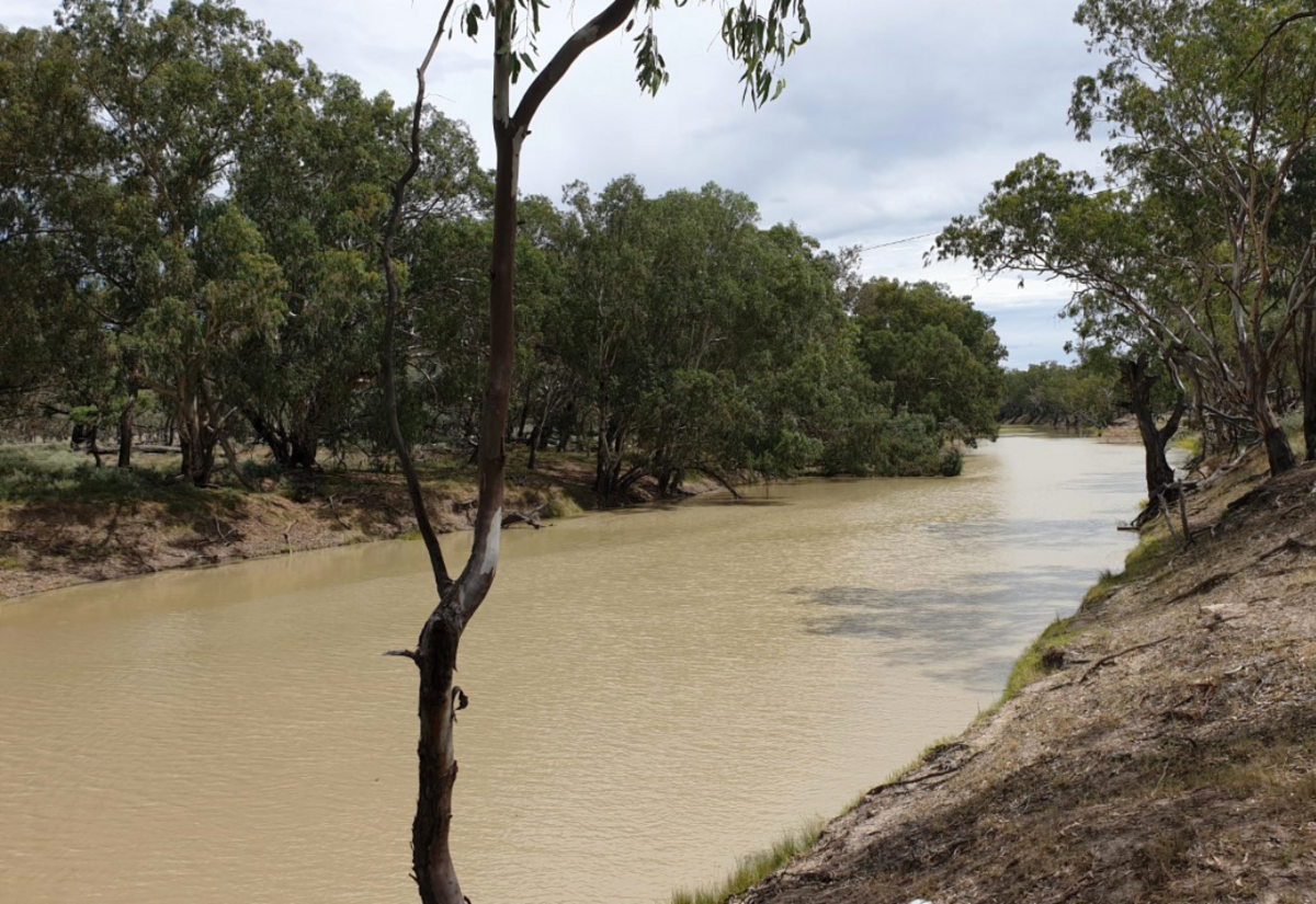 Last day to give feedback on Water Sharing Plans