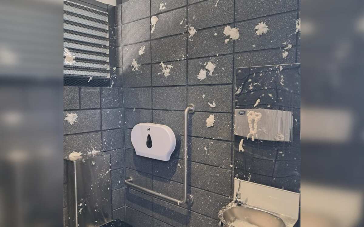 Brainless numpty' - local council post shames Southland toilet vandals