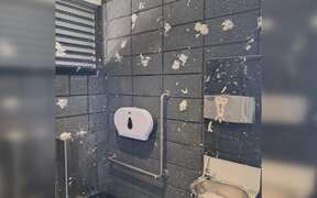 Brainless numpty' - local council post shames Southland toilet vandals