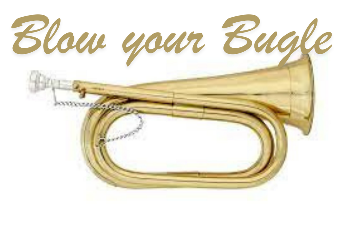 Kiama council 'tidy up' of outstanding council matters 