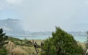 Large vegetation fire at Whangārei Heads triggers emergency response