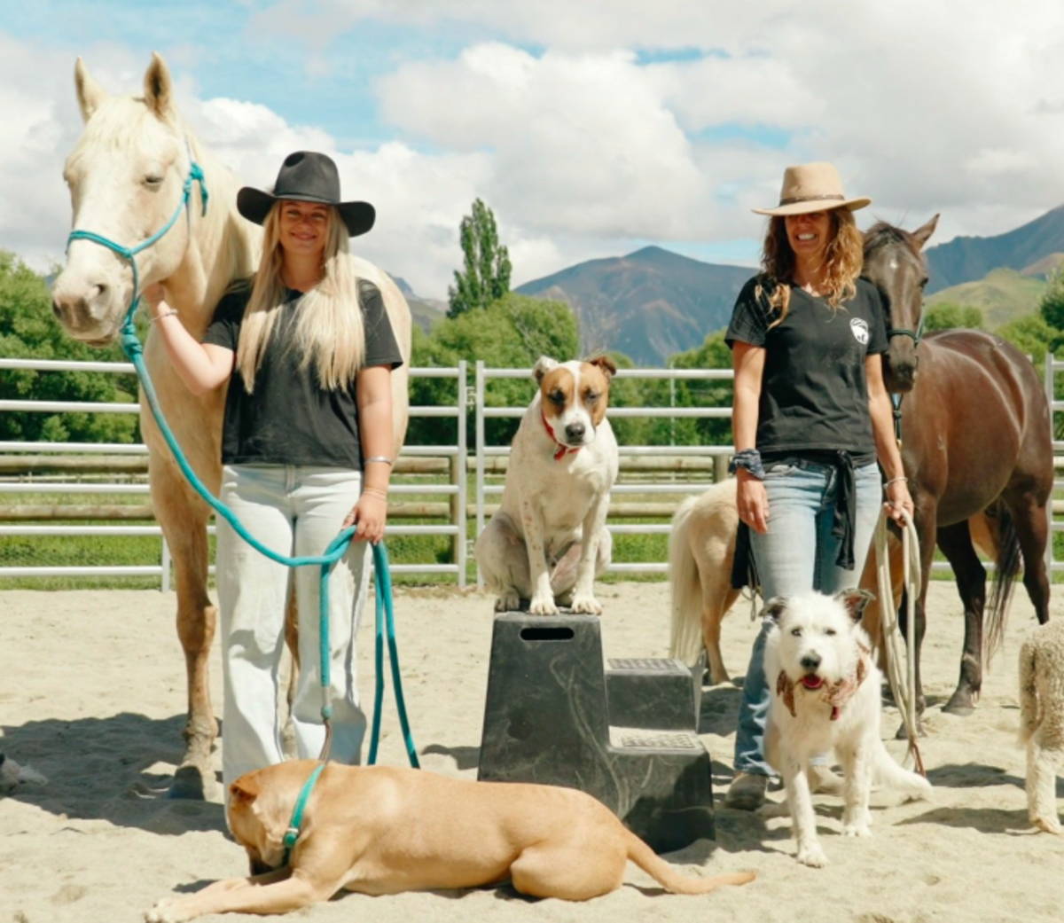 Animal sanctuary creating ‘a little bit of change’