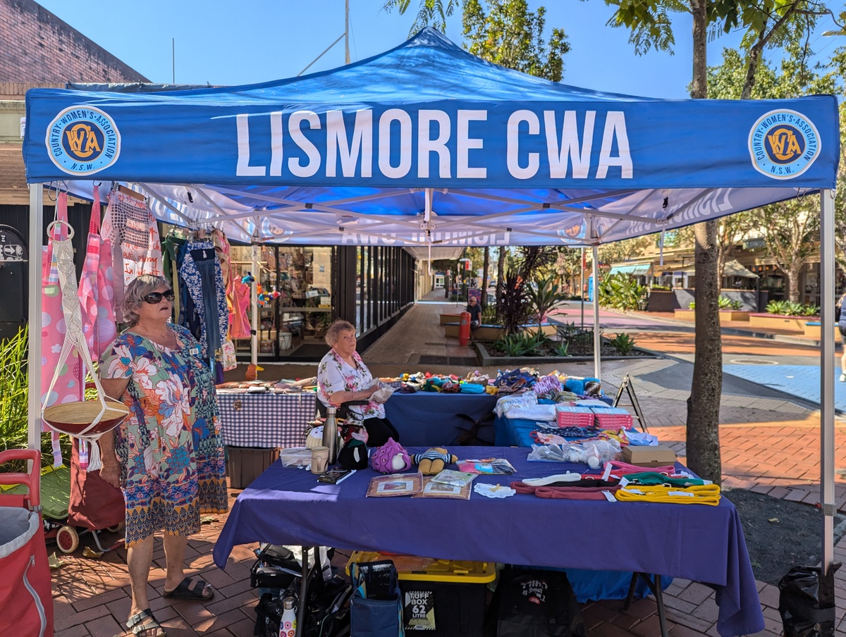 Nominations now open for 2025 Seniors Local Achievement Awards