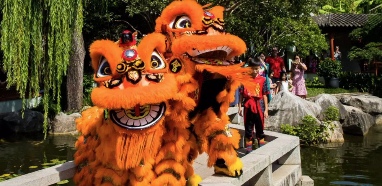 Sliding into the Lunar New Year of the Snake