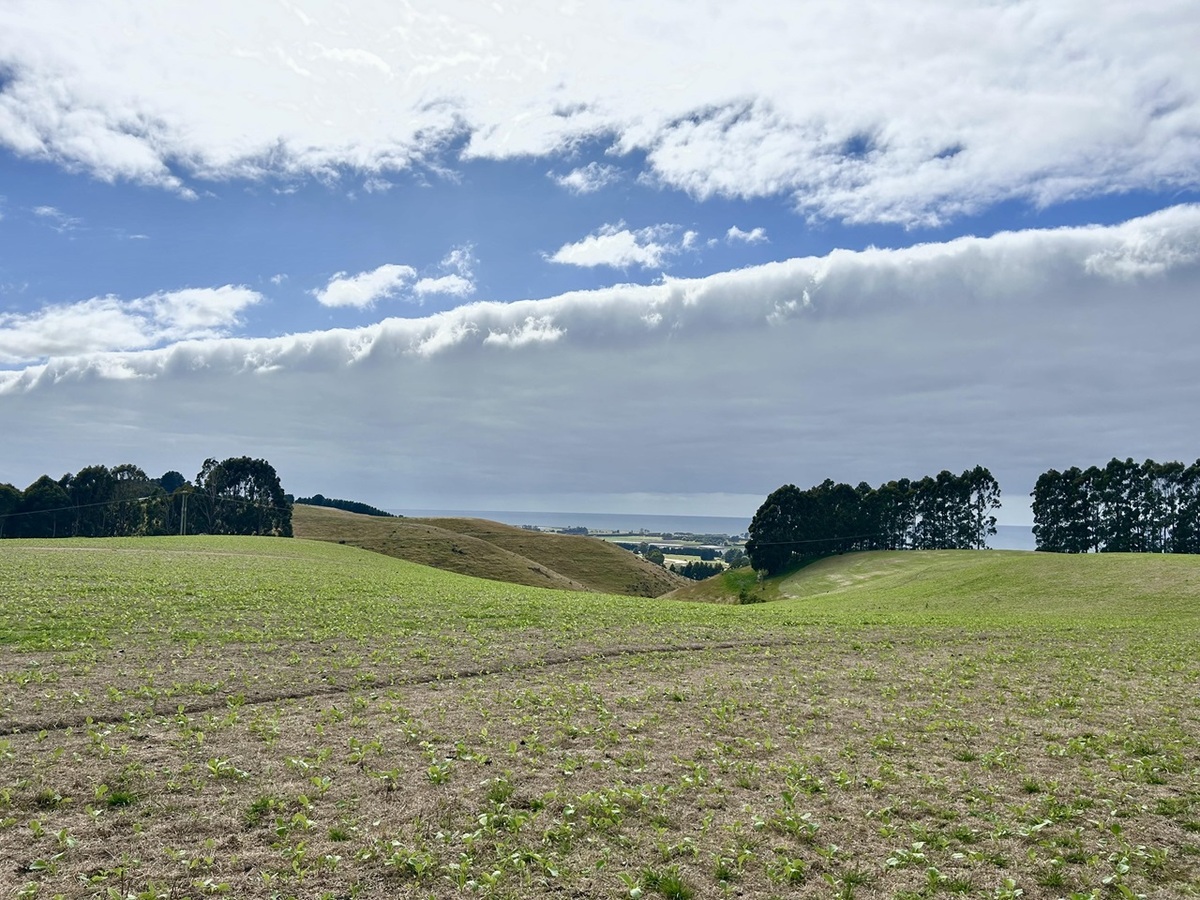 Cool, dry weather expected to turn warm and wet