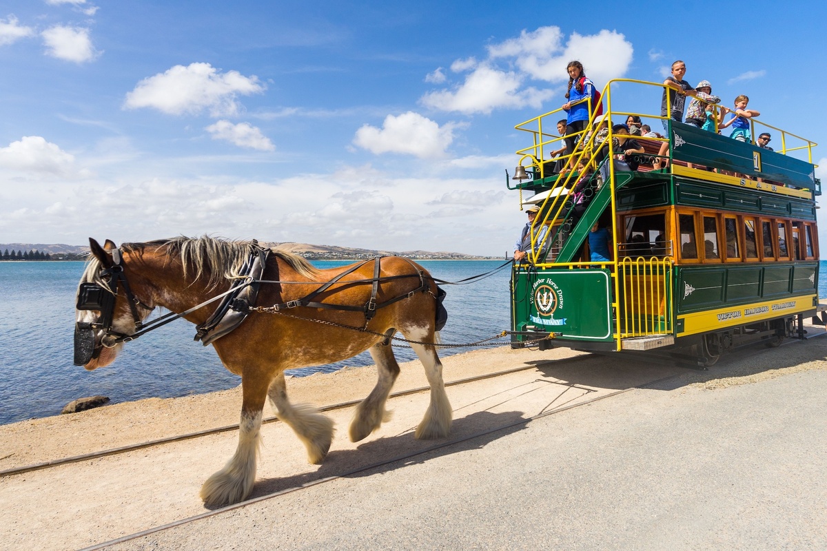 A step back in time on the Horse Drawn Tram