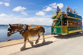 A step back in time on the Horse Drawn Tram