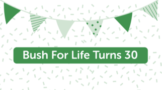 A legacy of care and connection